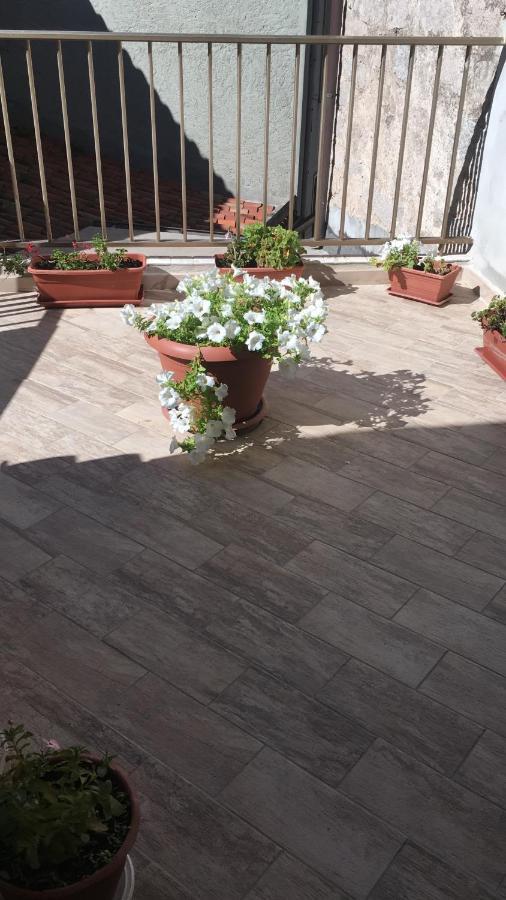 Guest House Le Gemelle Luras Dış mekan fotoğraf